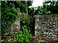 Small gate entrance to rear garden, Omagh