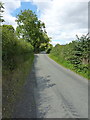 On the lane south of Rowbrook Farm