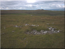 NY6509 : Possible prehistoric cairn on Great Asby Scar by Karl and Ali