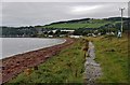 Fortrose Bay shoreline