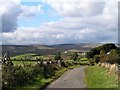 Country lane, Forest in Teesdale