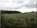 View towards Gadbury Bank