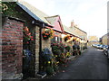 Bungalows bedecked with flowers in Oxen Road, Crewkerne