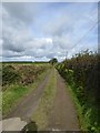 Bridleway to Southcott Cross from Yelland (1)