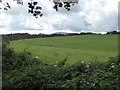 The valley of the infant Hookmoor Brook