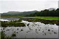 Flooded farmland near Ty-newydd Morfa