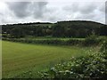 View across Thaw valley towards Craig Penllyn