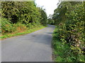 Road passing through Laight Wood