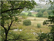 SH7257 : Waterlogged Meadow, Capel Curig by Chris Andrews