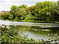 Lake near Higham Ferrers