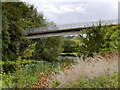 Footbridge over Lake next to the A45