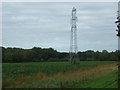 TM3899 : Pylon in crop field, Heckingham by JThomas