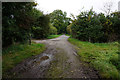 Carr Lane near Stallingborough