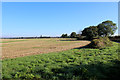 Country beside South Field Lane