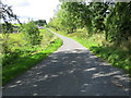 Road at Mountstewart