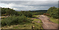 On Thurstaston Hill with a view of the mouth of the Dee Estuary