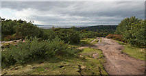 SJ2484 : On Thurstaston Hill with a view of the mouth of the Dee Estuary by Ian Greig
