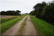 TA2012 : Ephams Lane towards Kiln Lane by Ian S
