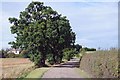 Bridleway to Foxhall Rd