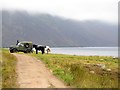 NO3083 : Ponies awaiting deer stalking party, Loch Muick by Andrew Curtis