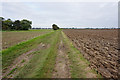 Path leading to Immingham