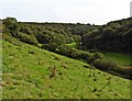 View towards Beara Wood