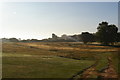 TM4458 : Track across a fairway, Aldeburgh Golf Club by Christopher Hilton