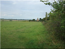 TM4993 : Grassland, Burgh St Peter Staithe by JThomas