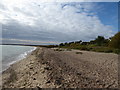 Monkey Beach, West Mersea