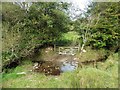 Ford in Kedworthy Combe