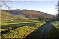 Middle Ffynnonau - Cnwch Bank track