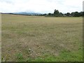 Stubble field at Luston