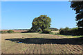 Field beside Stubbing Gate