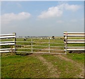 TG4200 : Gate into a marsh pasture by Evelyn Simak