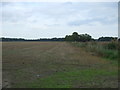 Stubble field east of Yarmouth Road (A143)