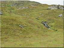 NM7772 : An Garbh-allt once more a mountain rill above Loch Shiel by ian shiell