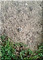 Ordnance Survey Rivet