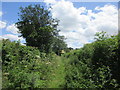 Bridleway to Abenhall