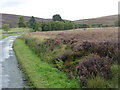 The Speyside Way Tomintoul Spur near Auldich