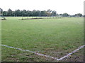 Sports field at Brickhill
