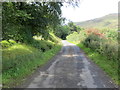 Road approaching Pynannot