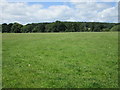 View towards Blaisdon Hill