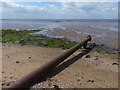 TA4016 : Pipe on the beach at Kilnsea by Mat Fascione
