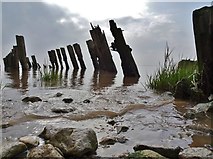 TA1128 : Humber Estuary by Bernard Sharp