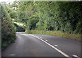 A377 through a wooded area