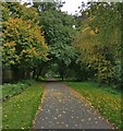 Great Central Way cycleway and footpath