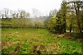 Field in the Looe Valley