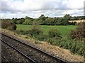 View from a Didcot-Worcester train - Fields near Ascott-under-Wychwood