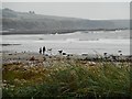 Stonehaven beach