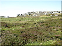 NY9628 : The southern end of the rock outcrop on Monk's Moor by Mike Quinn